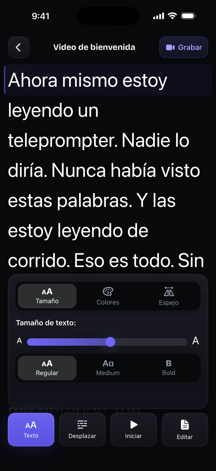 La pestaña Tamaño del panel Texto: el control de tamaño de texto y las opciones Regular, Medium y Bold.